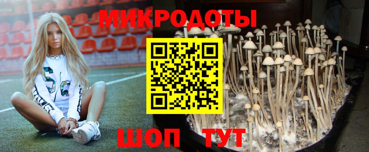 Галлюциногенные грибы Cubensis Выборг