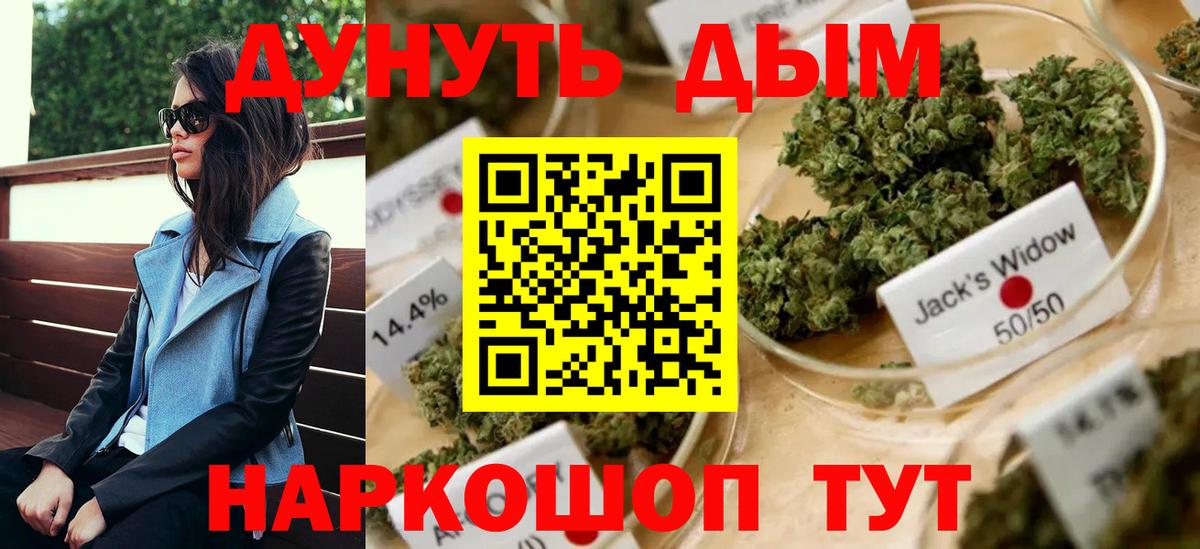 Каннабис планчик Выборг